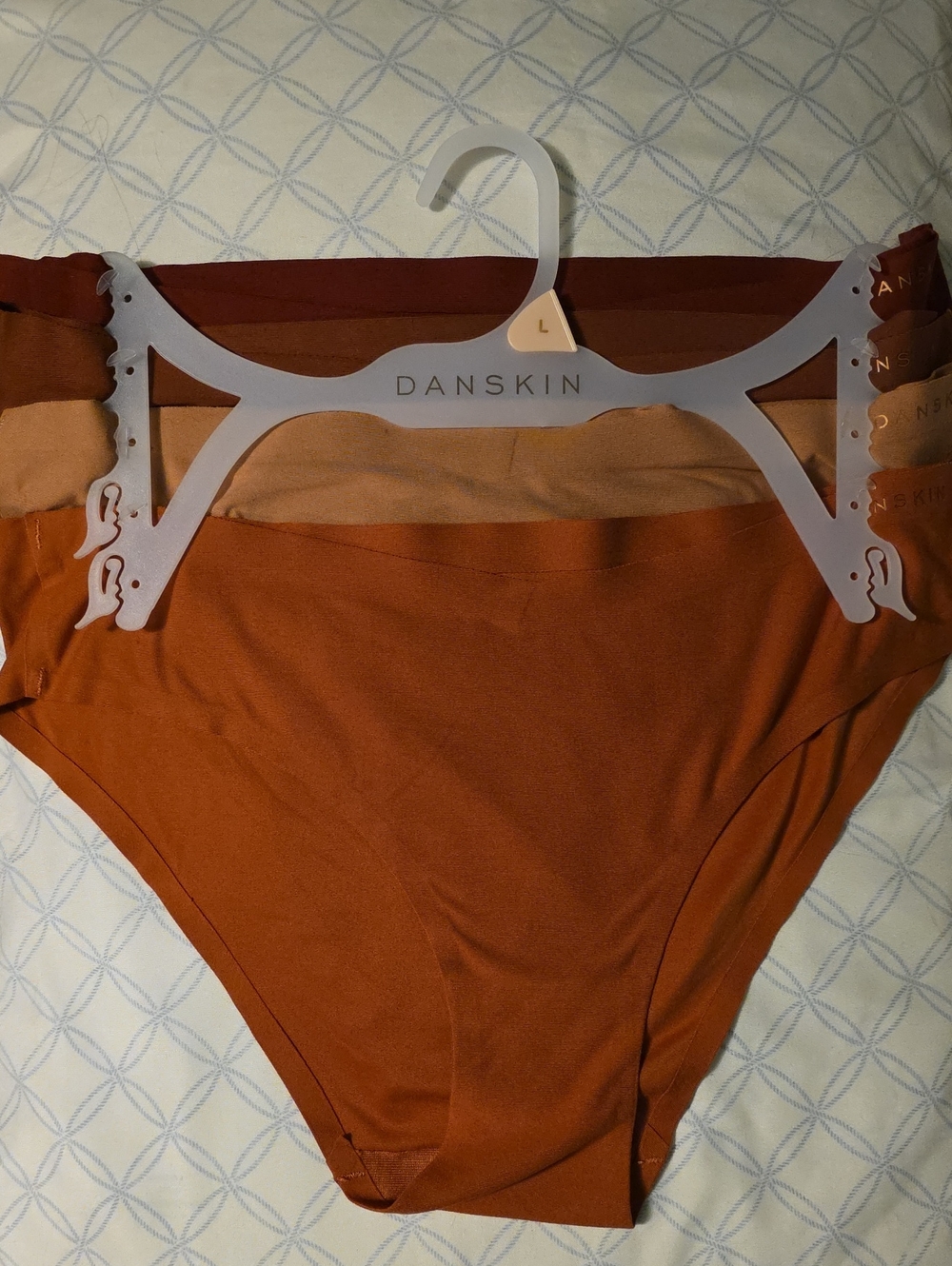 Danskin Briefs 4pr  (NEW ON HANGER) Size Large New WITHOUT tags - Picture 3 of 6